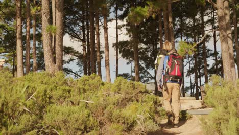 active senior couple hiking in forest