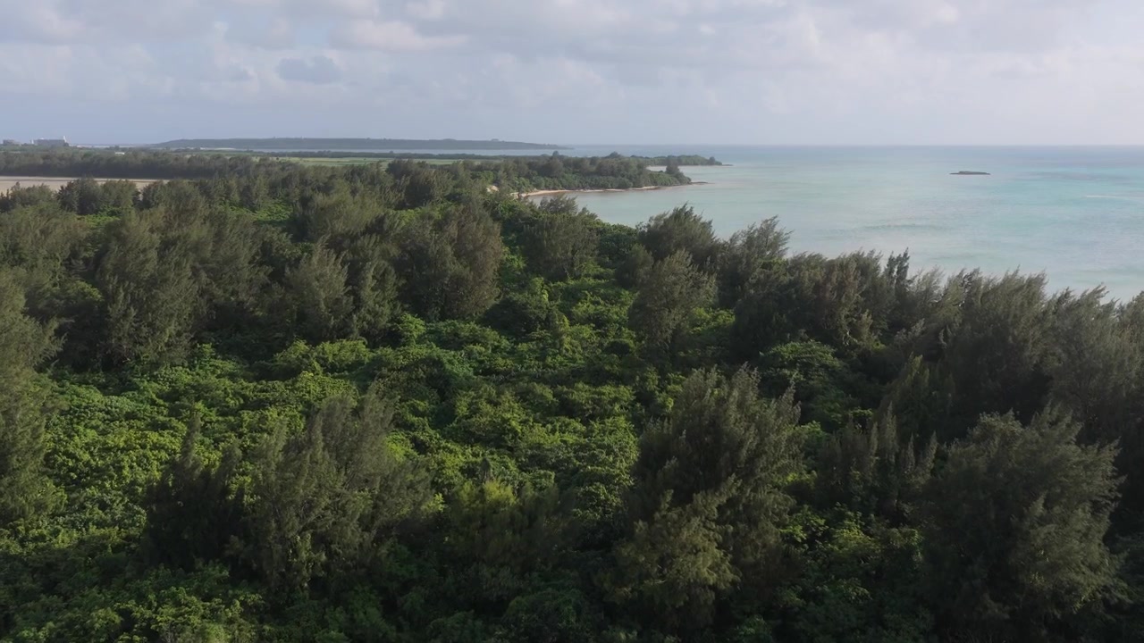 Filmato aereo orizzontale che avanza sopra la lussureggiante foresta costiera che confina con la spiaggia di Nishihama, Miyakojima, Okinawa, Giappone.
