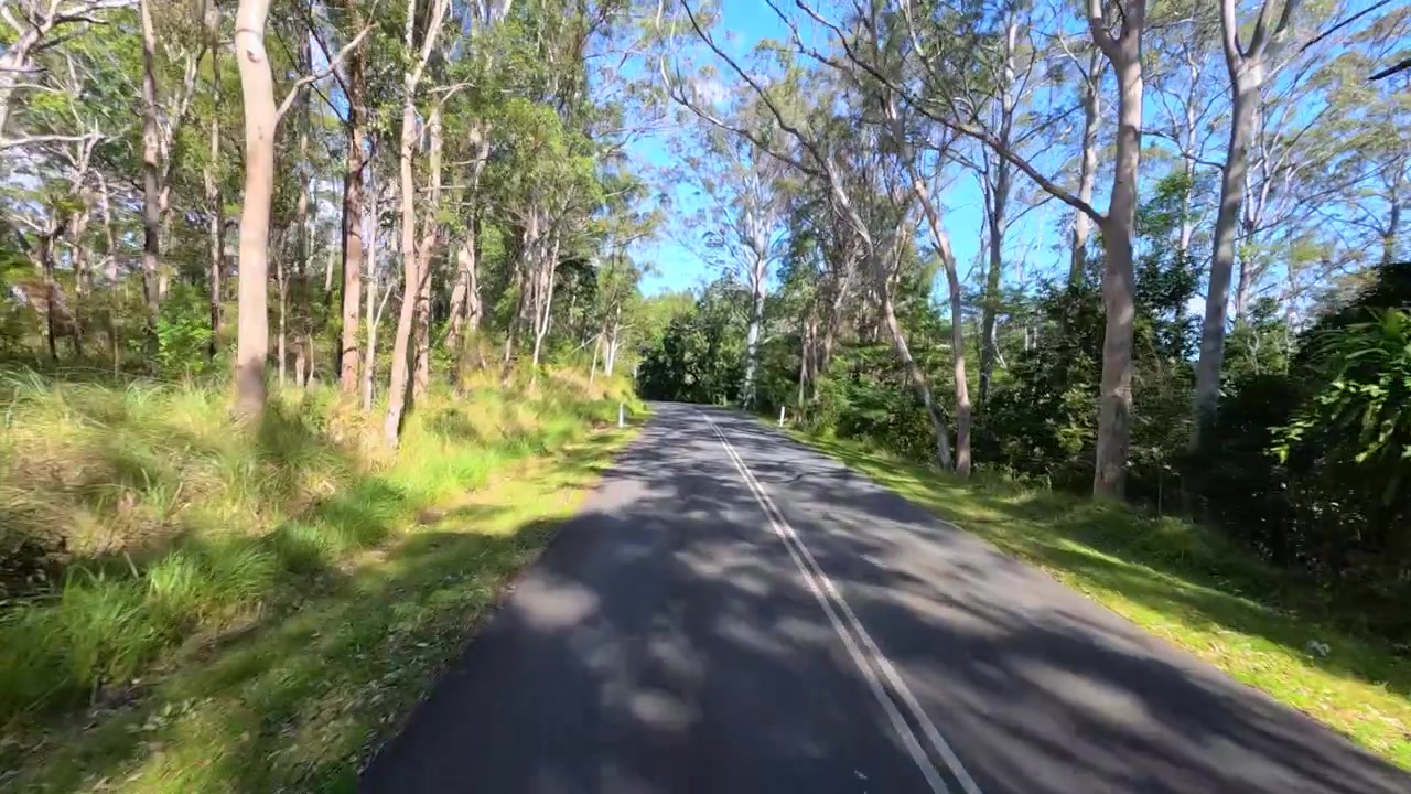 Ripresa POV mentre si guida lungo una strada asfaltata attraverso una foresta subtropicale di eucalipti nel Queensland, Australia