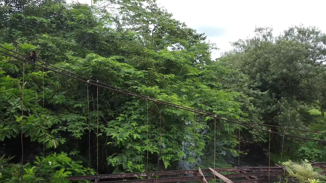 코스타리카 정글, 푸라 비다 자연 보호구역