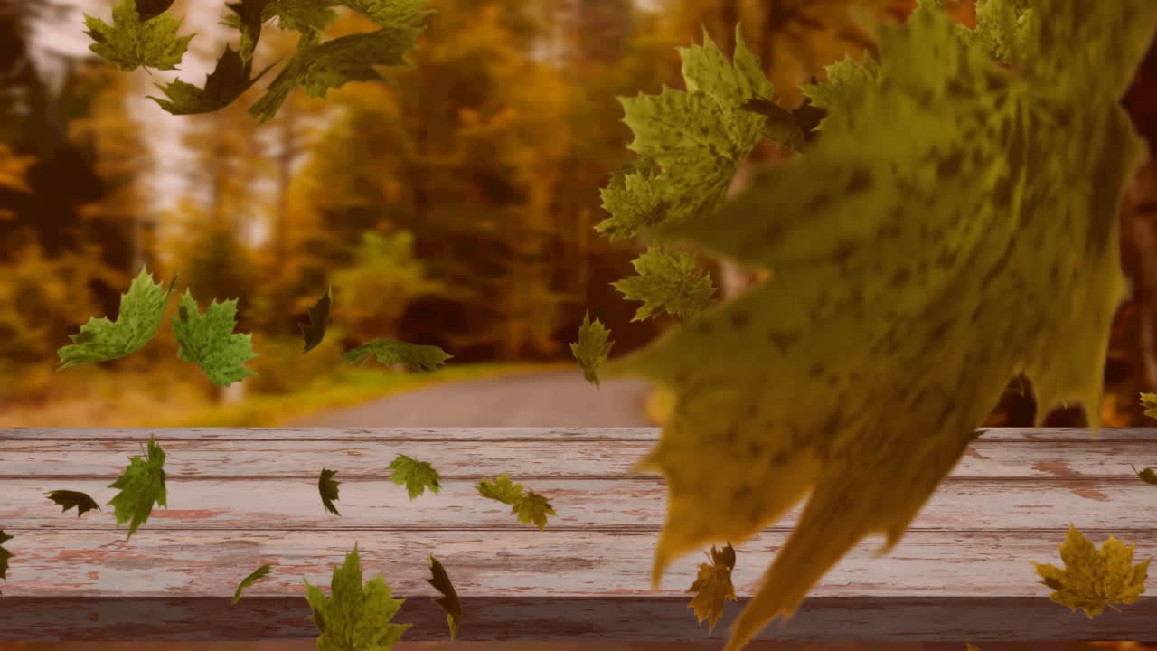 animación digital de múltiples hojas de otoño flotando sobre la superficie de madera contra el bosque
