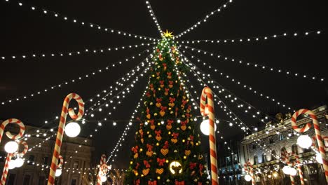 christmas tree in a city square at night