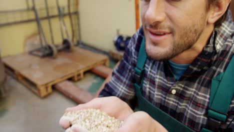 brewer checking grains 4k