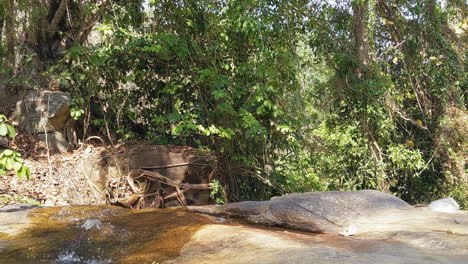 Kleiner-Bach,-Der-Durch-Den-Wald-In-Chiang-Mai,-Thailand-Fließt