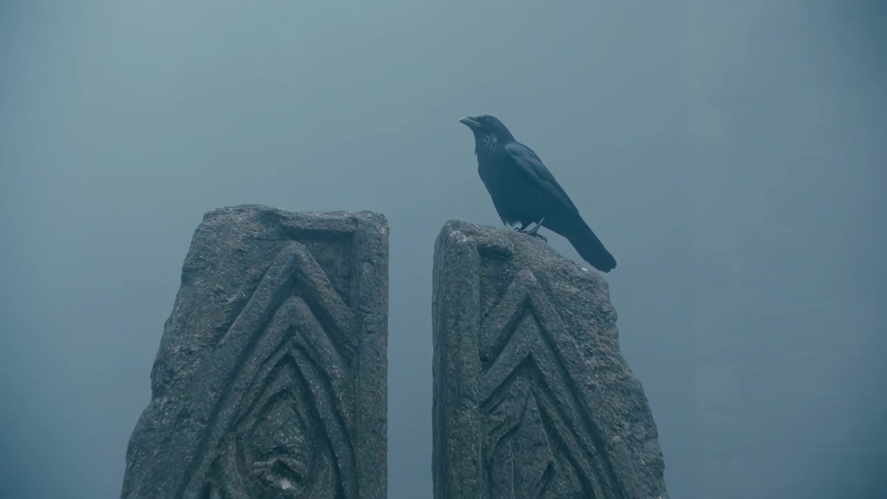 Burung gelap bersandar, bergeser membuka paruh mengumumkan kehadirannya di pilar batu dalam kabut, dengan ruang salin.