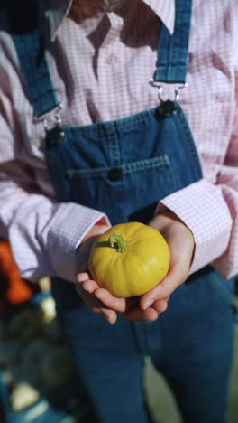 person holding a small yellow pumpkin