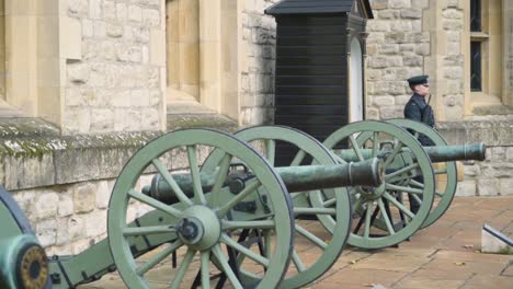 guardia real y cañones en la torre de londres