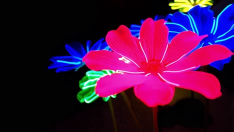 neon flowers in the dark