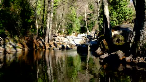 bergfluss im regenwald um die dörfer la vera in extremadura