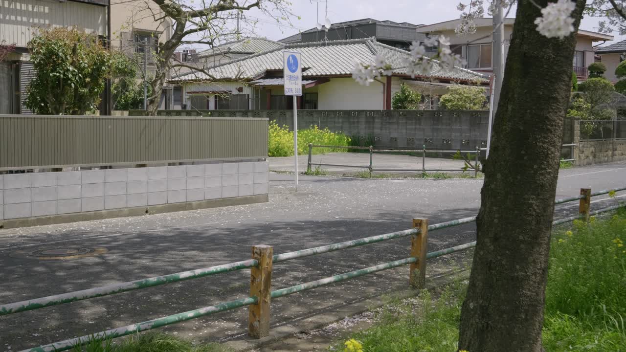 Locked off view over typical residential area in Japan with cherry blossoms
