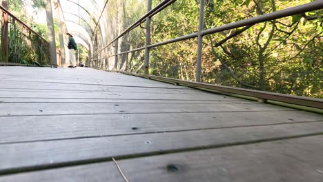 person walking through zoo's birdcage exhibit