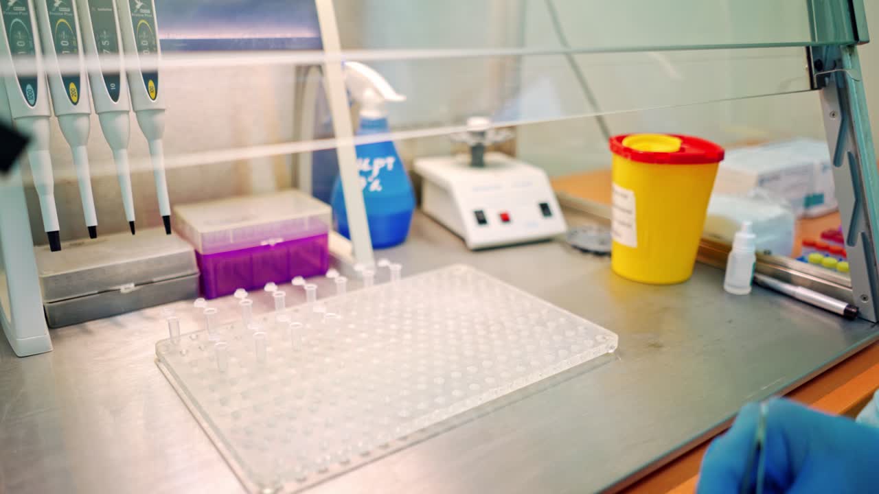 New small test tubes laying out on a plastic rack. Female hand in protective glove holding tweezers while putting sterile vials on a support in the laboratory.