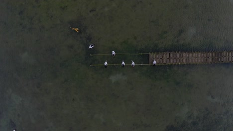 Luftaufnahme-Der-Küste-Von-Coffin-Bay,-Eyre-Peninsula,-Südaustralien,-Per-Drohne