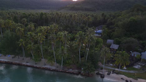 cabañas directamente en el bosque de palmeras en la playa