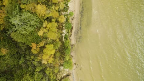 Aerial,-small-waves-lap-at-vegetated-shoreline-of-freshwater-lake