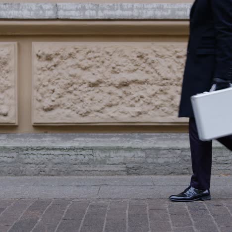 man with suitcase in city