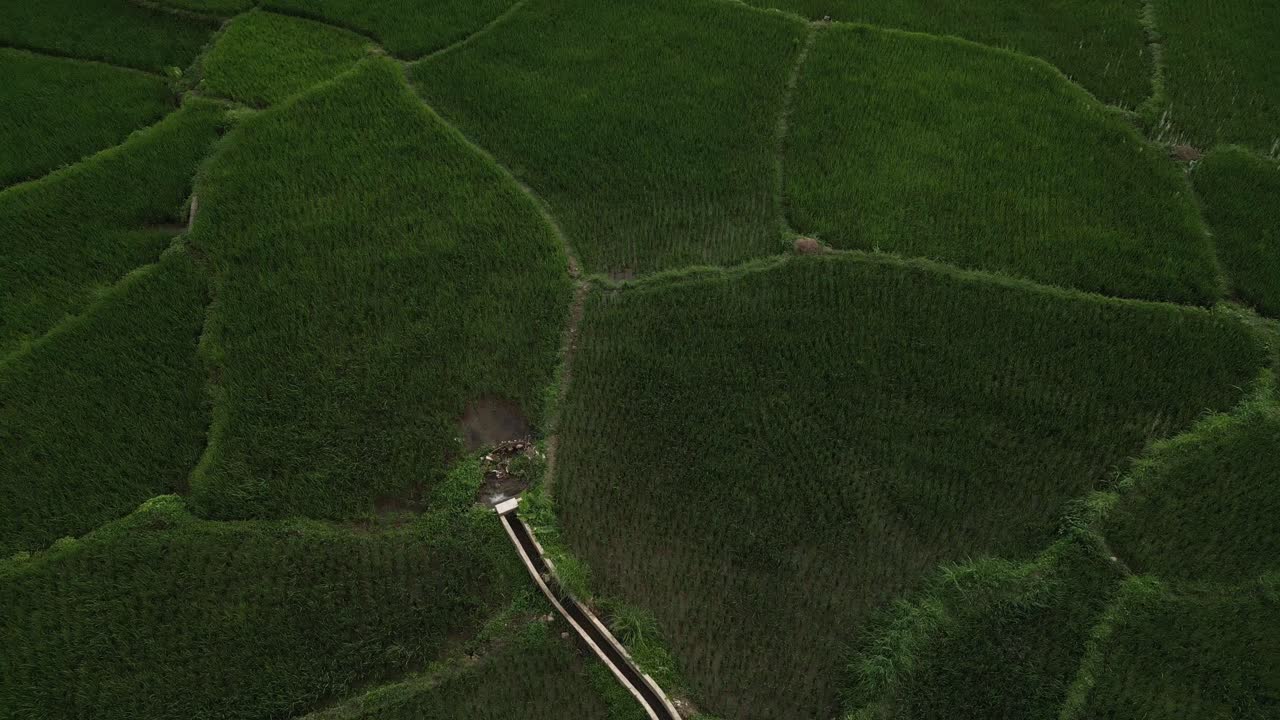 paisaje agrícola aéreo de terrazas de arroz verde y río como fuente de agua