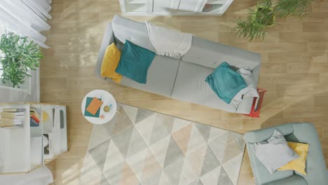 empty living room with nobody in it. modern interior with carpet, grey sofa with blue and yellow pillows, chair, coffee table, shelf with books, green plants and wooden floor. top view.