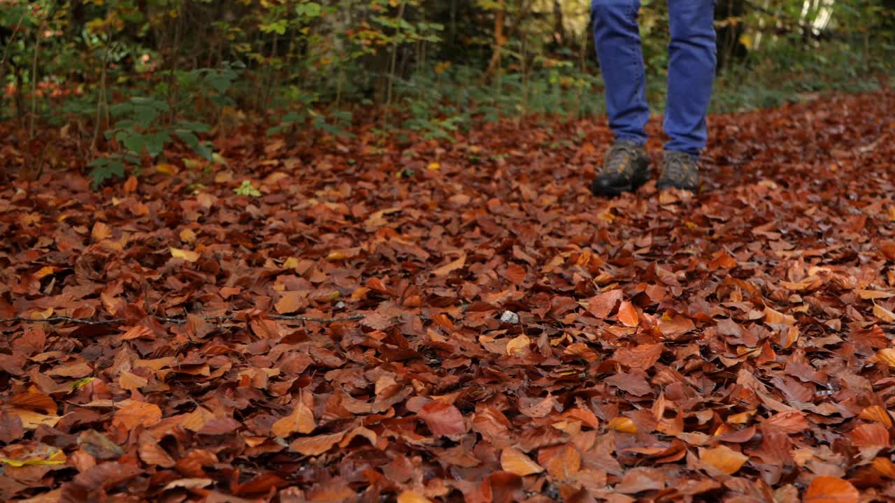 Voksen mann går alene gjennom skogen