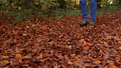 Hombre-Adulto-Pedófilo-Camina-Solo-Por-El-Bosque