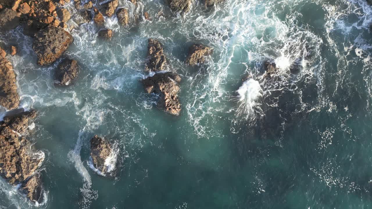 Il drone si alza sopra le onde dell'oceano e i leoni marini a Malibu (60fps).