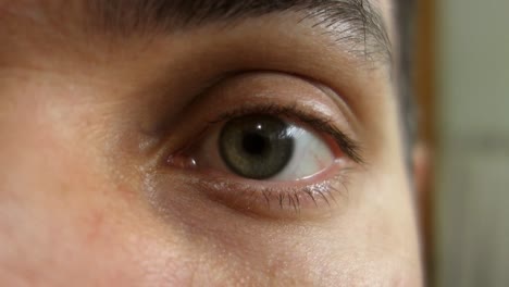 vista de cerca del ojo masculino verde mirando fijamente