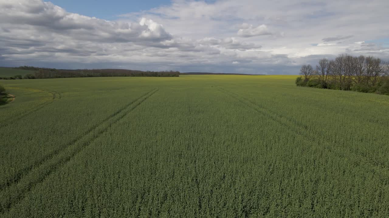 A vast agricultural landscape captured by drone, showcasing green crops extending to the horizon under a partly cloudy sky.