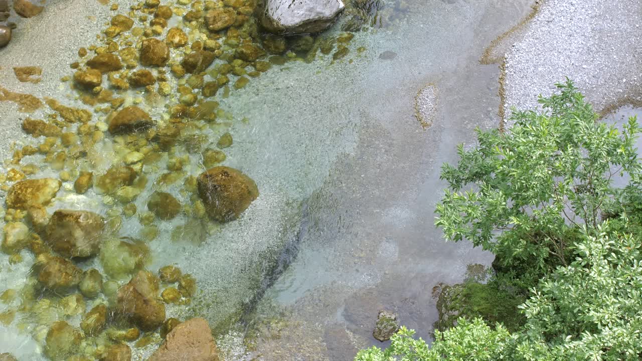 bandeja derecha desde un río de montaña claro con rocas hasta una playa de guijarros con árboles
