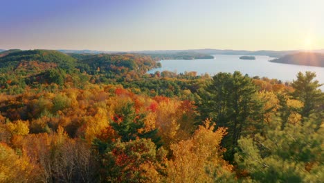 Colores-De-Otoño-Nueva-Inglaterra-Belleza-Paso-Elevado-Dinámico-Conservación-Del-Bosque-Salvar-El-Planeta-Drone-Aéreo