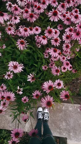 feet in a garden of purple flowers