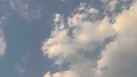 부분적으로 구름이 많은 하늘 아래에서 자유롭게 날아다니는 잠자리를 지켜보고 있습니다.