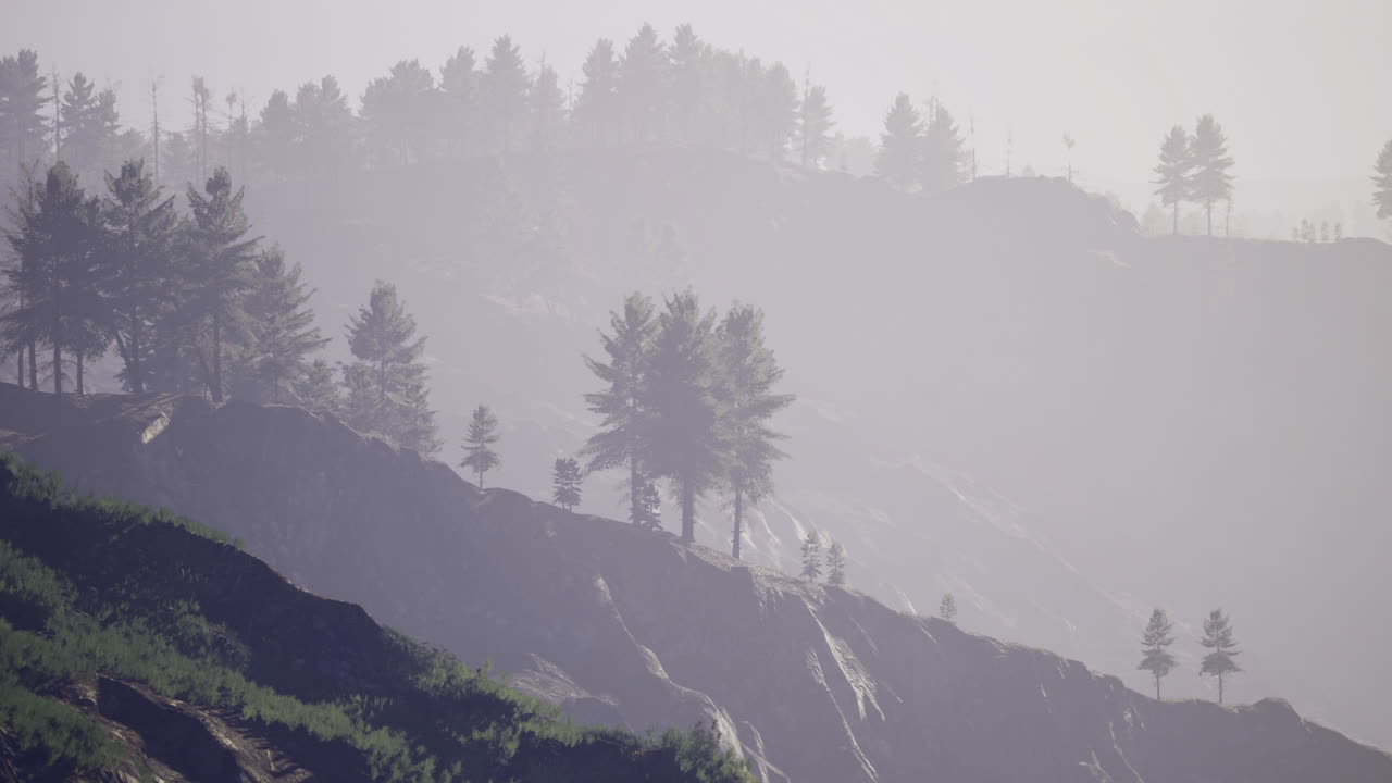 안개 가 가득 한 아침 풍경 은 해가 뜨면 멀리 있는 나무 들 과 바위 가 있는 지형 을 드러낸다