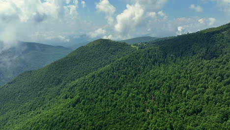 flying above green mountain peaks