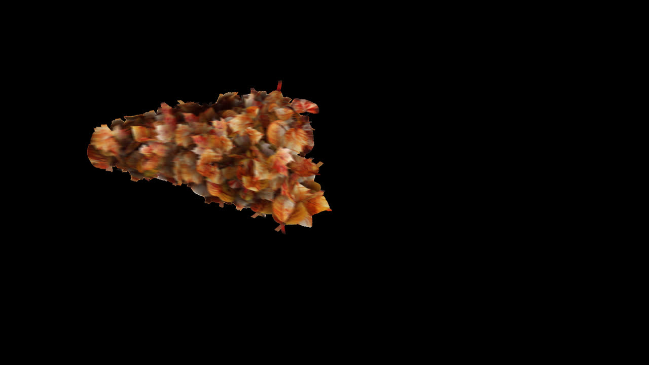 Autumn Leaves Burst Element on Transparent Background