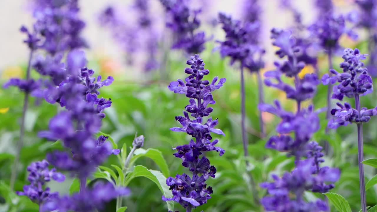 横浜で最高の景色