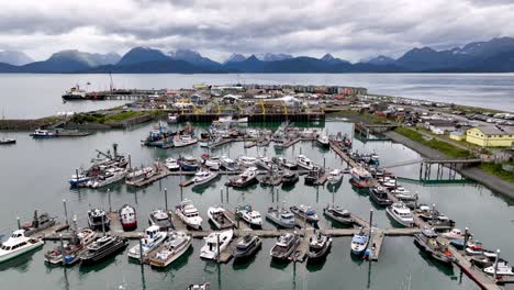 aerial pullout over boats in homer alaska