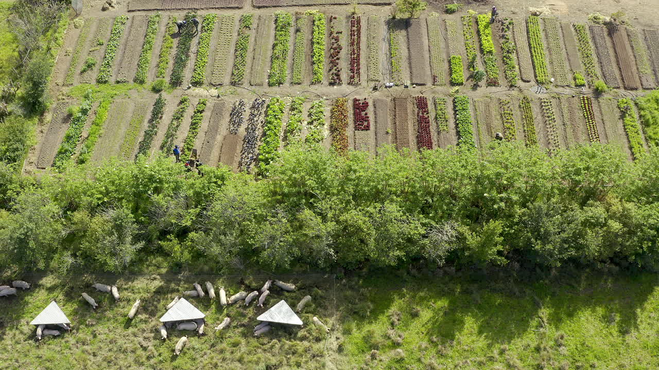 It's about sustainability