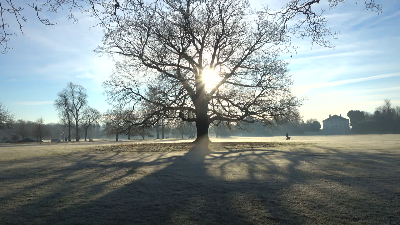 런던의 공원에서 서리가 내린 겨울 아침