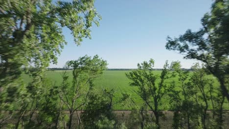 Aerial-view-revealing-vast-green-agriculture-fields-on-a-sunny-day-in-USA