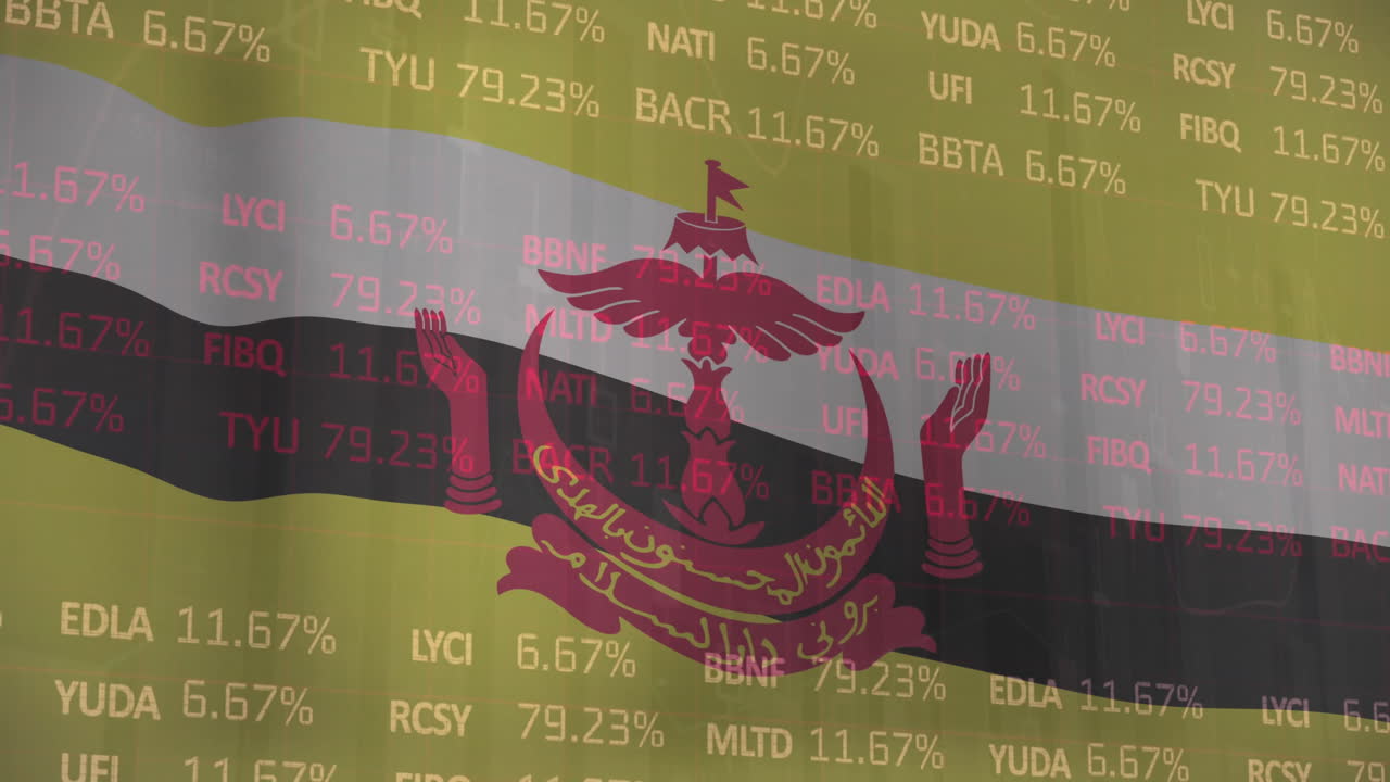 브루나이의 발을 통해 금융 데이터 처리의 애니메이션