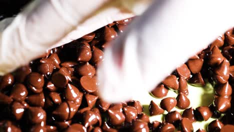 gloved hands interacting with chocolate chips