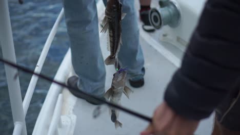 young boat fisherman holds two caught on line with lure with crew behind