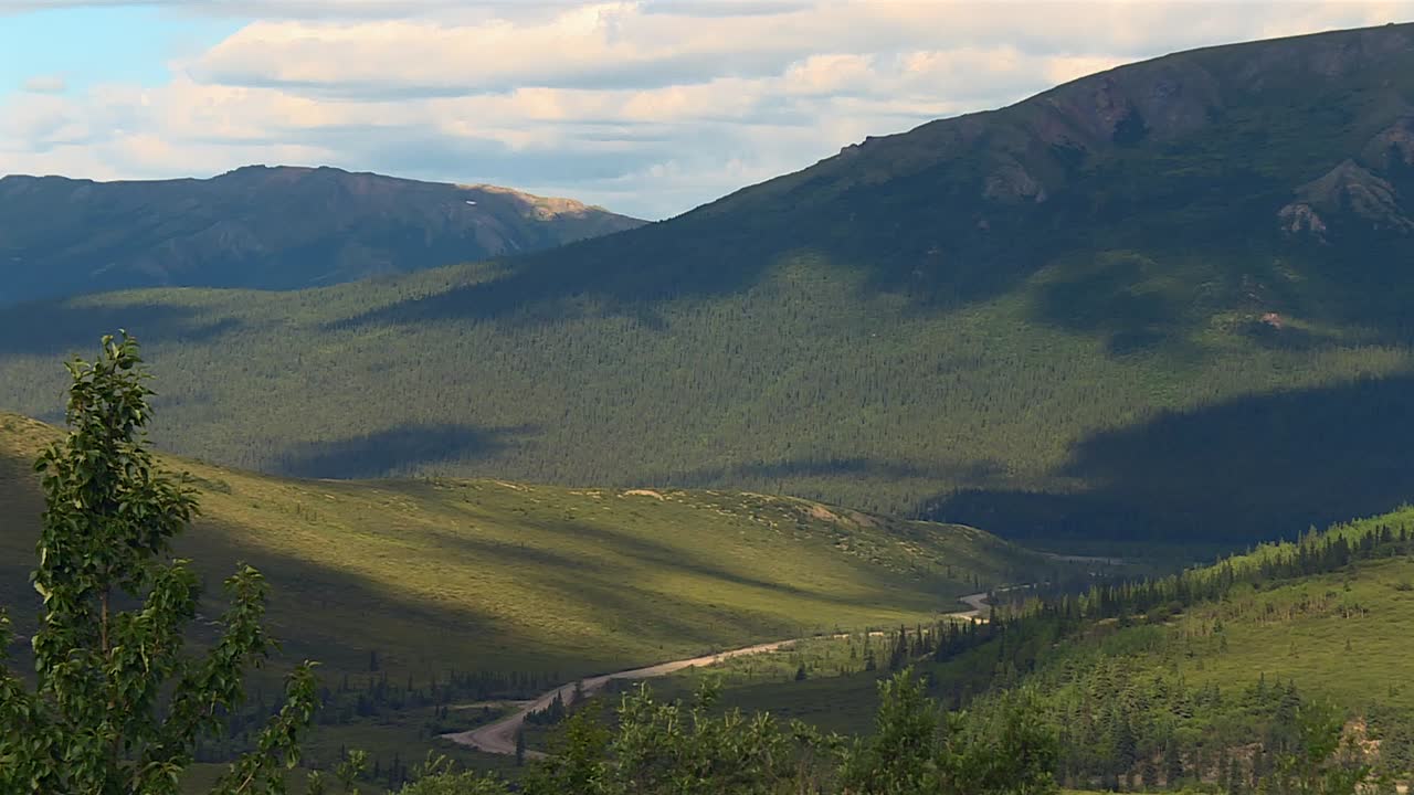 Forested valley and gravel park road amid rolling Alaska Range mountains in Denali National Park, USA