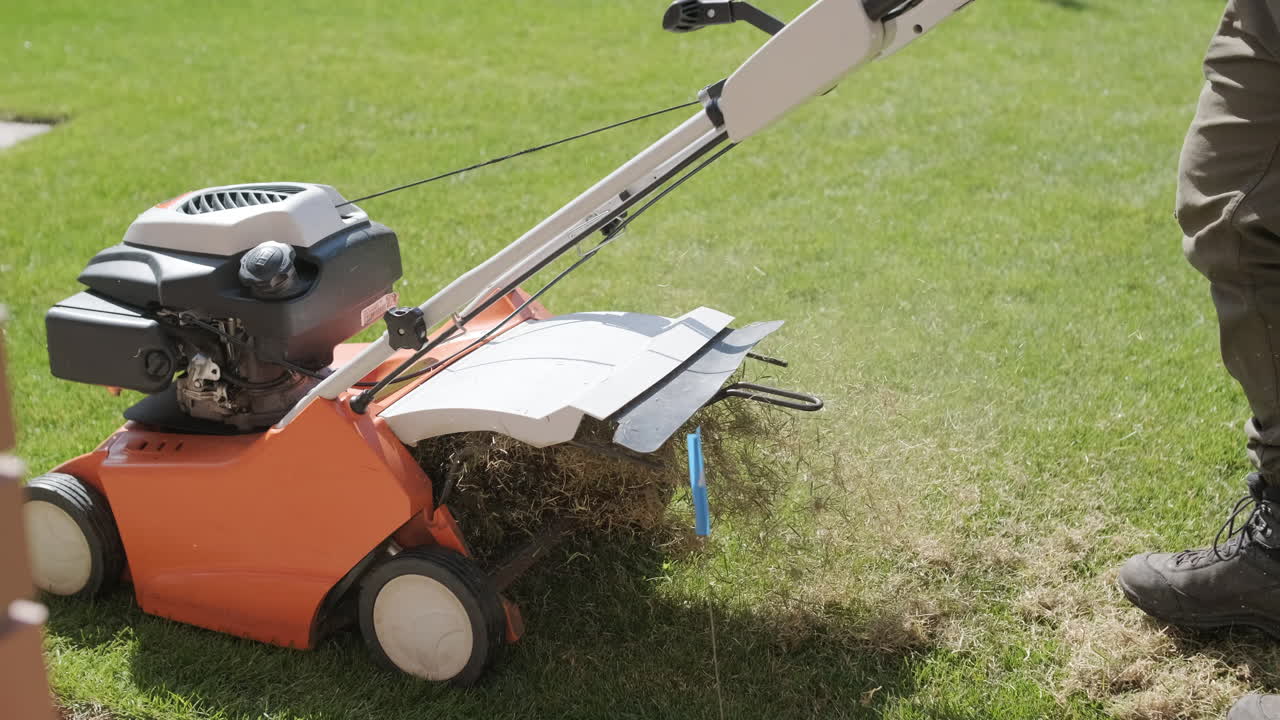 Person Scarifying Lawn with Dethatcher Machine on a Sunny Day