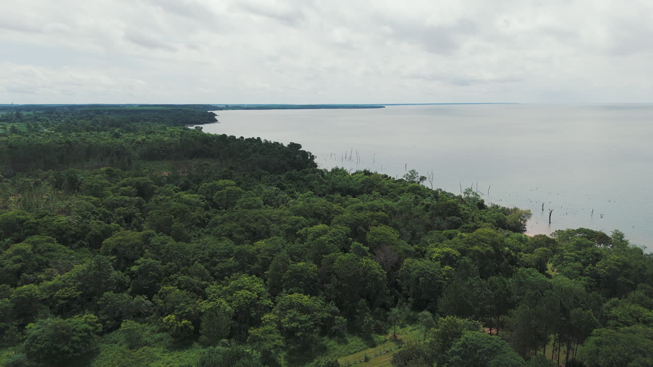 Wondrous image of the jungle and the immense Paran&aacute; River, showcasing the breathtaking beauty of the lush landscape meeting the grandeur of the river