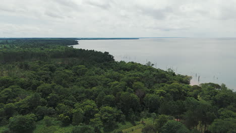 Wundervolles-Bild-Des-Dschungels-Und-Des-Riesigen-Paraná-Flusses,-Das-Die-Atemberaubende-Schönheit-Der-üppigen-Landschaft-Und-Die-Erhabenheit-Des-Flusses-Zeigt