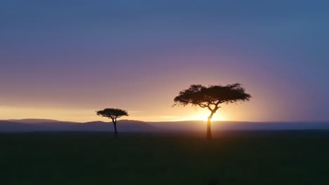 hermoso paisaje de puesta de sol de árbol de acacia y sabana africana con espectacular cielo de amanecer azul y naranja y nubes, puesta de sol o amanecer en masai mara en kenia, fondo con espacio de copia