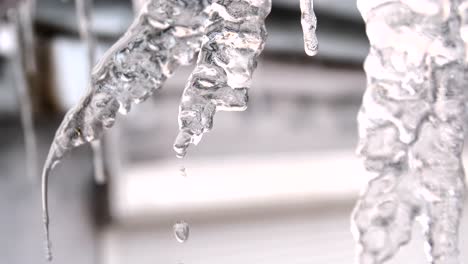 icicles close-up