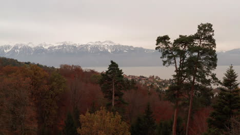 Tiefflug-über-Herbstwald-Mit-Bergen-Und-See-Im-Hintergrund