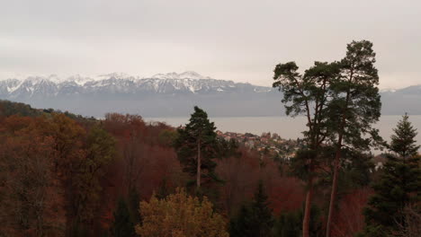 flying low over autumn forest with mountains and lake in the background